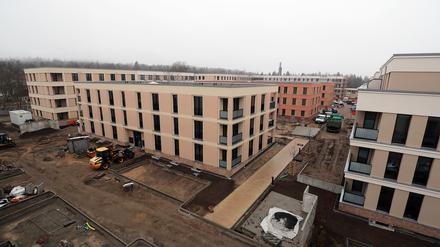 An der Heinrich-Mann-Allee in Potsdam ist ein neues Stadtquartier entstanden.