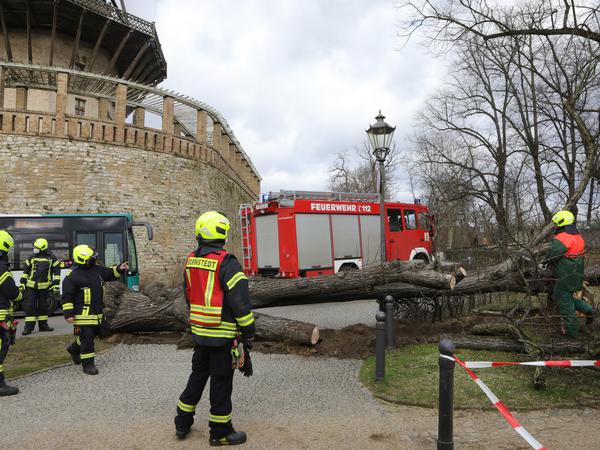 Feuerwehreinsatz an den Neuen Kammern Sanssouci sowie an der Historischen Mühle.