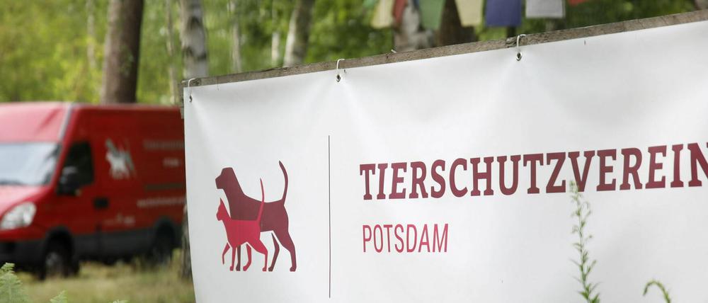 Es ist endlich soweit: Der Tierschutzverein eröffnet das Tierheim in der Michendorfer Chausee.