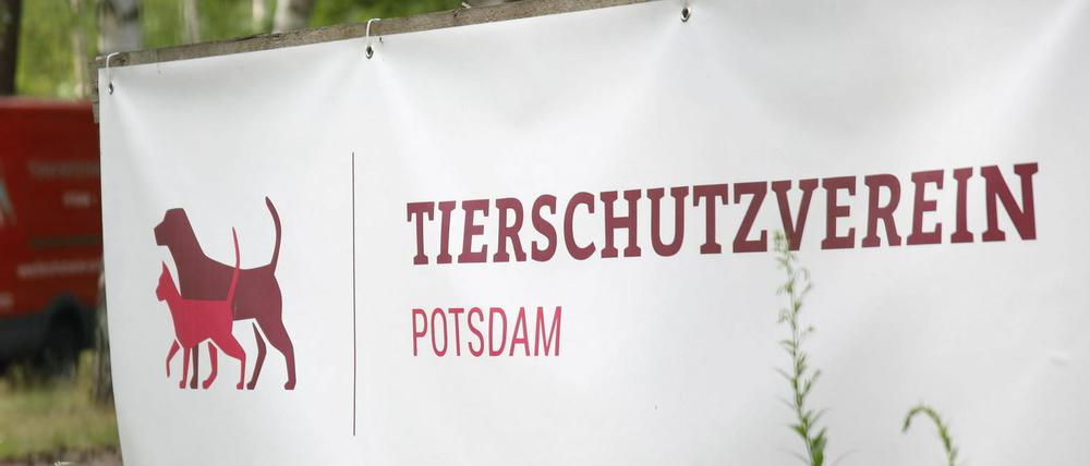 In der Michendorfer Chaussee entsteht das neue Tierheim in Potsdam.