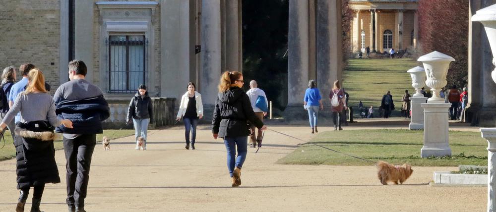 Bei herrlichem Sonnenschein flanierten die Besucher am Wochenende durch den Park Sanssouci.