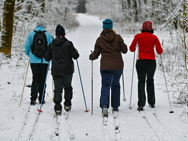 Diese vier Frauen nutzten die Bedingungen für eine Skitour durch den Wald in Sieversdorf (Kreis Oder-Spree).