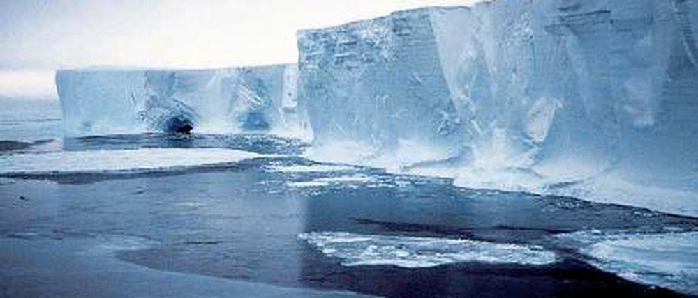 Klimaforscher aus Potsdam warnen, dass das Antarktis-Eis komplett schmelzen könnte.