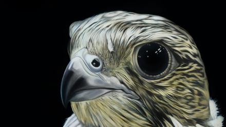 Jens Heller ist mit "young falcon" ist bei der Ausstellung "kein thema 5" im KunstHaus Potsdam dabei.