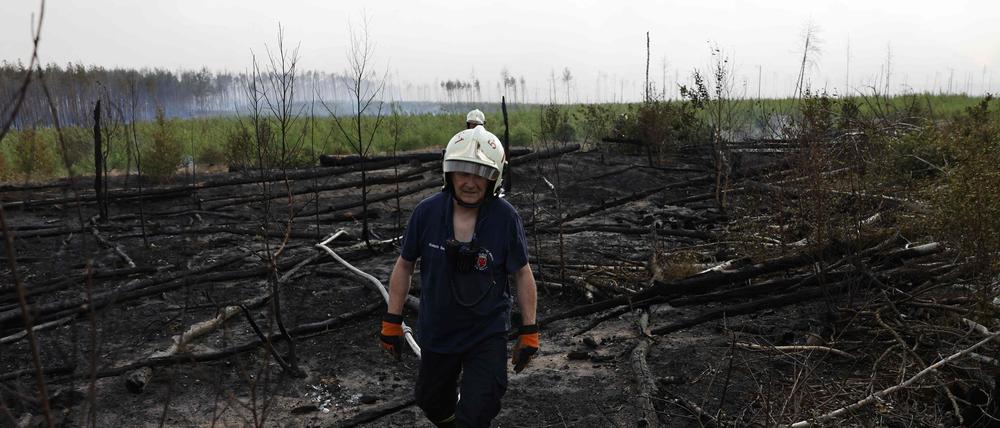 Ein Feuerwehrmann in einem abgebrannten Waldstück in Frohnsdorf.
