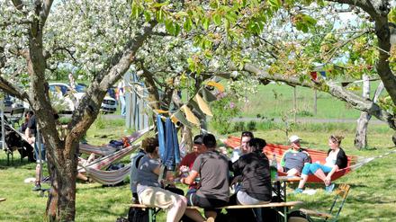 Der Verein Zuckerbaum feiert sein eigenes kleines Baumblütenfest am Obstpanoramaweg.