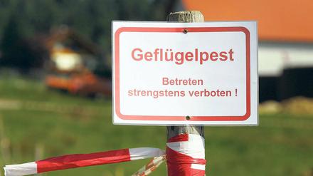 Seuchenalarm. Auch im Landkreis Potsdam-Mittelmark ist die Vogelgrippe mittlerweile angekommen. Am Freitag wurde ein Sperrbezirk eingerichtet. Betroffen sind Werder (Havel) und sogar Teile von Potsdam.
