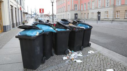 Müll in der Potsdamer Innenstadt.