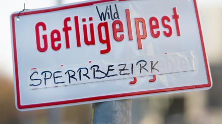 In Berlin trat die Vogelgrippe bereits auf. Dieses Schild wurde in Berlin-Friedrichshain aufgestellt. Jetzt gab es den ersten Fall in Brandenburg.