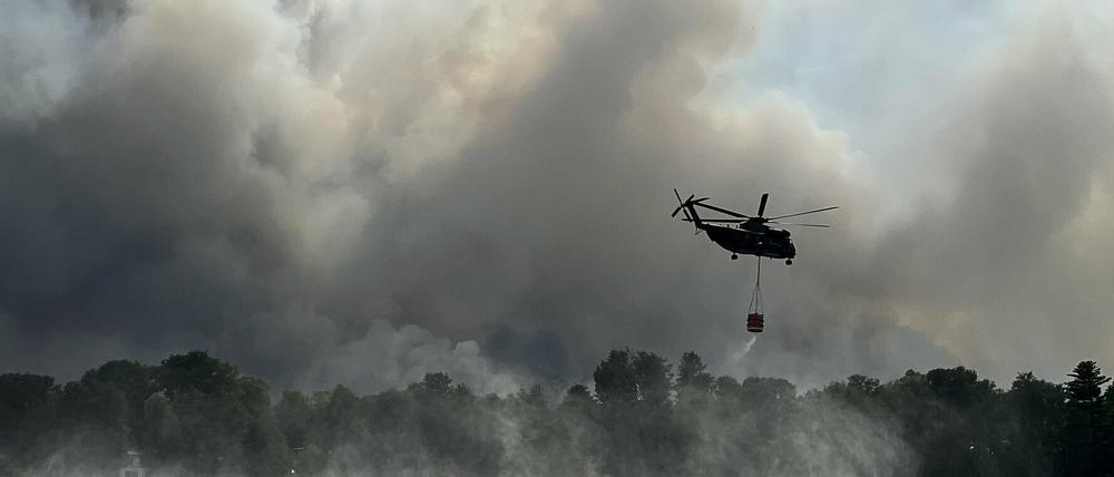 Die Ermittlungen zur Ursache des Waldbrandes bei Treuenbrietzen dauern an.