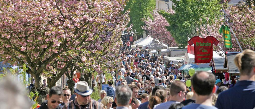 Das Baumblütenfest in Werder (Havel) wird vermutlich erst wieder 2022 stattfinden.