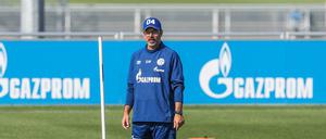 Ist derzeit ziemlich alleingelassen: Schalkes Trainer David Wagner.
