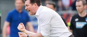 Überzeugungstäter. Ein engagierter HSV-Trainer Christian Titz beim Spiel in Hoffenheim.