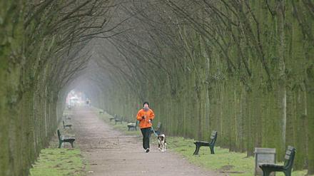 Laufen kann sich positiv auswirken – für Mensch und Hund.