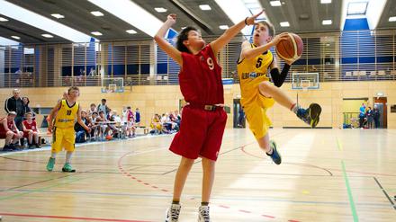 Mit nun 1349 spielberechtigten Mitgliedern bleibt Alba der größte Basketball-Verein Deutschlands.
