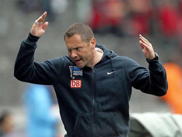 Da musst du doch verrückt werden. Hertha BSC und Trainer Pal Dardai müssen vor dem letzten Spieltag noch ein bisschen zittern.