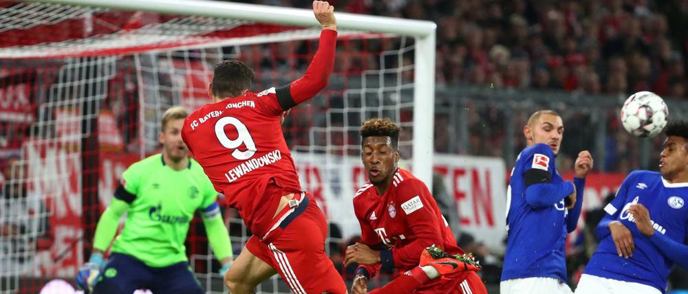 Zum Sieg verrenkt. Robert Lewandowski und der FC Bayern sind den Schalkern die meiste Zeit überlegen.