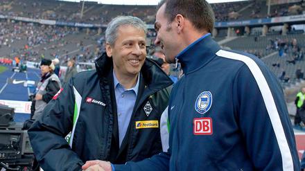 Hertha-Trainer, einst und jetzt: Lucien Favre (l.) und Markus Babbel.