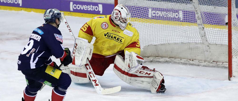 Die Eisbären hatten in dieser Spielzeit so ihre Probleme mit Mathias Niederberger. Aber der könnte ja nun bald wieder zurückkehren.