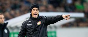 Es wird ungemütlich. Trotz vielversprechender junger Spieler bleibt Heiko Herrlich mit Leverkusen weit hinter den Erwartungen zurück.