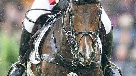 Hürde genommen. Janne Meyer konnte mit ihrem Pferd Lambrasco im Nationenpreis beim Chio in Aachen mit einer fehlerlosen Runde überzeugen. Foto: dpa