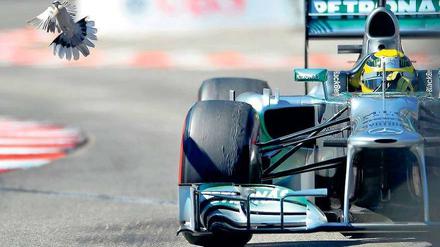 Taube oder Falke? Lange galt Nico Rosberg als zu weich für die Formel 1 – inzwischen hat er die Kritik mit schnellen Runden widerlegt.