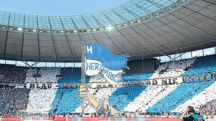 Blau-weiße Hertha. Nach dem Bundesliga-Aufstieg 2011 empfingen 61.118 enthusiastische Zuschauer ihre Mannschaft im Berliner Olympiastadion zum Spiel gegen Nürnberg.