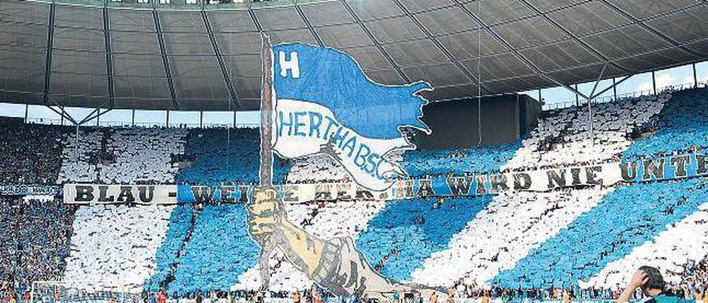 Blau-weiße Hertha. Nach dem Bundesliga-Aufstieg 2011 empfingen 61.118 enthusiastische Zuschauer ihre Mannschaft im Berliner Olympiastadion zum Spiel gegen Nürnberg.