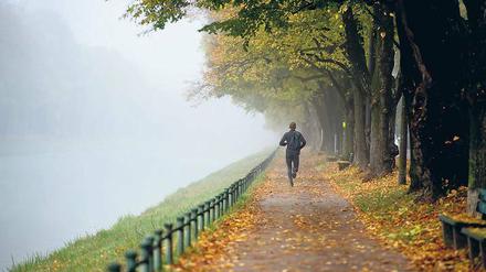 Wenn die Seele im Herbst schwermütig wird, kann das Laufen helfen.