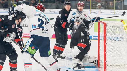 Sie sind wieder da. Die Eisbären (in dieser Szene ist Thomas Oppenheimer am Puck) stehen erstmals seit 2013 im Finale der Deutschen Eishockey-Liga. 
