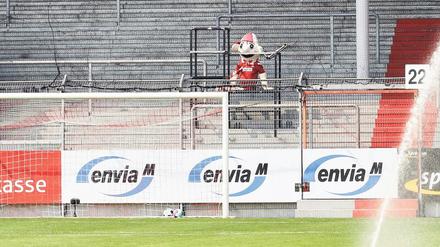 Trostlose Zeiten. Auch für Lauzi, das Maskottchen des FC Energie Cottbus, gibt es derzeit nichts zu sehen im Stadion der Freundschaft und erst gar nichts zu lachen beim Fußball-Regionalligisten aus der Lausitz.