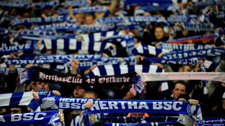 Hertha konzentriert sich auf den direkten Wiederaufstieg.