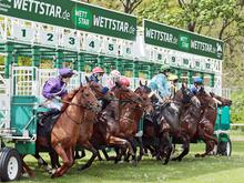 Irish Race Day in Hoppegarten: Das besondere Pferdequartett von Trainer Marko Megsner