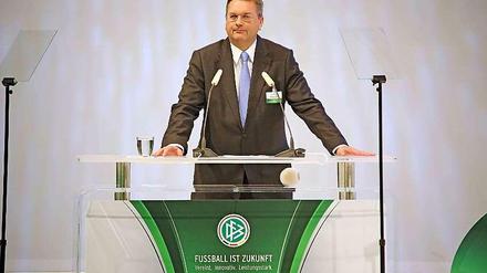 Reinhard Dieter Grindel ist bereits seit 2002 Mitglied im Deutschen Bundestag - und nun auch Schatzmeister des Deutsche Fußballbundes (DFB).