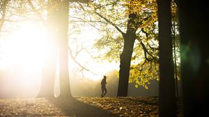 Wenn man gerade mal keine neue Bestzeit aufstellen möchte, lassen sich beim laufen im Herbst auch andere Dinge abseits der Strecke beobachten.