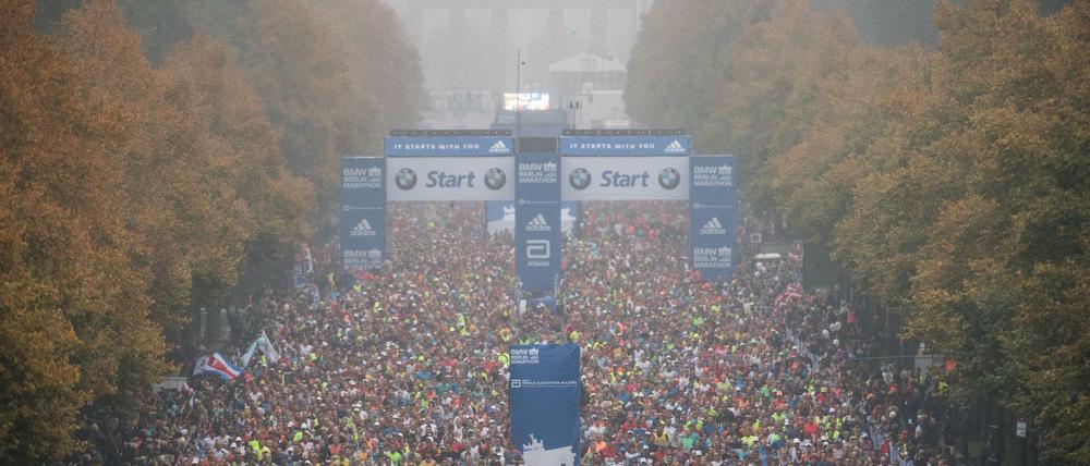 Mike Kleißist verletzt und konnte am Berlin-Marathon nicht teilnehmen. 