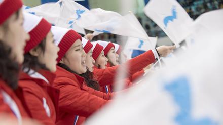 Bei den Winterspielen in Pyeongchang 2018 ging Nordkorea zum Teil gemeinsam mit dem Süden an den Start - etwa in einem Eishockeyteam bei den Frauen.