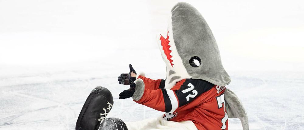 Auch das Maskottchen der Kölner Haie hat wenig Freude an der Eishockey-Saison.