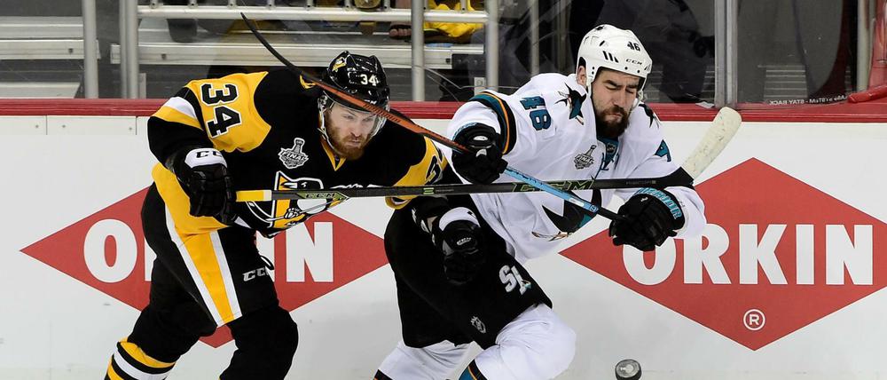 Tom Kühnhackl von den Pittsburgh Penguins (links) und Tomas Hertl von den San Jose Sharks (rechts) kämpfen um den Puck.