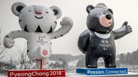 Die Olympischen Spiele sind vorbei, bald beginnen in Pyeongchang die Paralympics. 