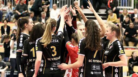 Beliebt und erfolgreich: Die Volleyballerinnen des SC Potsdam gehören zur Spitze der Bundesliga.