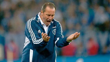 Zum Verzweifeln: Schalke-Trainer Huub Stevens