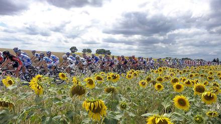 Dieses Jahr findet die 100. Tour de France statt. Immer wieder war Doping der dunkle Begleiter des Sportevents. 