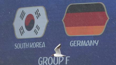 Letztes Vorrunden-Spiel für Deutschland gegen Südkorea