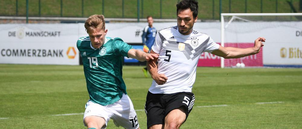 Alt gegen jung. Weltmeister Mats Hummels (r.) im Zweikampf mit U-20-Nationalspieler Johannes Eggestein.