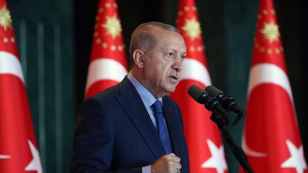 Recep Tayyip Erdogan rechtfertigt am Montag (13. August 2018) in Ankara auf einer Konferenz für Botschafter in der Türkei Polizeiaktionen gegen Kritiker der Wirtschaftspolitik in Sozialen medien. Sie seien "Verräter". Zudem wetterte er gegen die USA, die der Türkei "in den Rücken und die Füße geschossen" hätten.