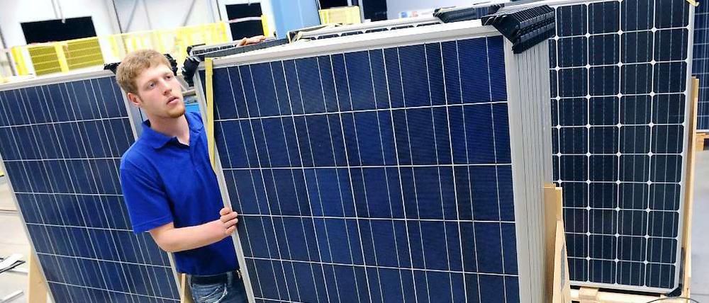 Solarmodule "made in Berlin", gemanagt aus Indien.