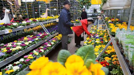 Das Geschäft in den Gartencentern boomt seit vergangenem Freitag.