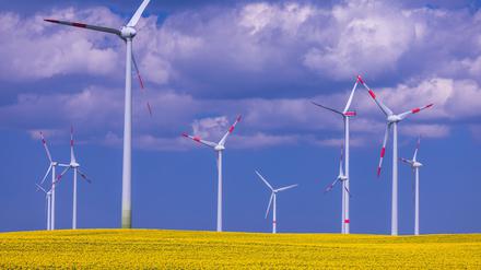 Windkraftanlagen verschiedener Hersteller drehen sich hinter einem blühenden Rapsfeld in einem Windpark. Während der Energiekrise hatten Betreiber von Windrädern in Brandenburg für 480 der rund 4000 Energieanlagen eine größere Stromproduktion beantragt.