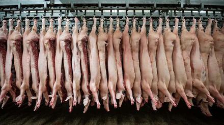 China hat die Importe von Schweinefleisch der Unternehmensgruppe Tönnies gestoppt.